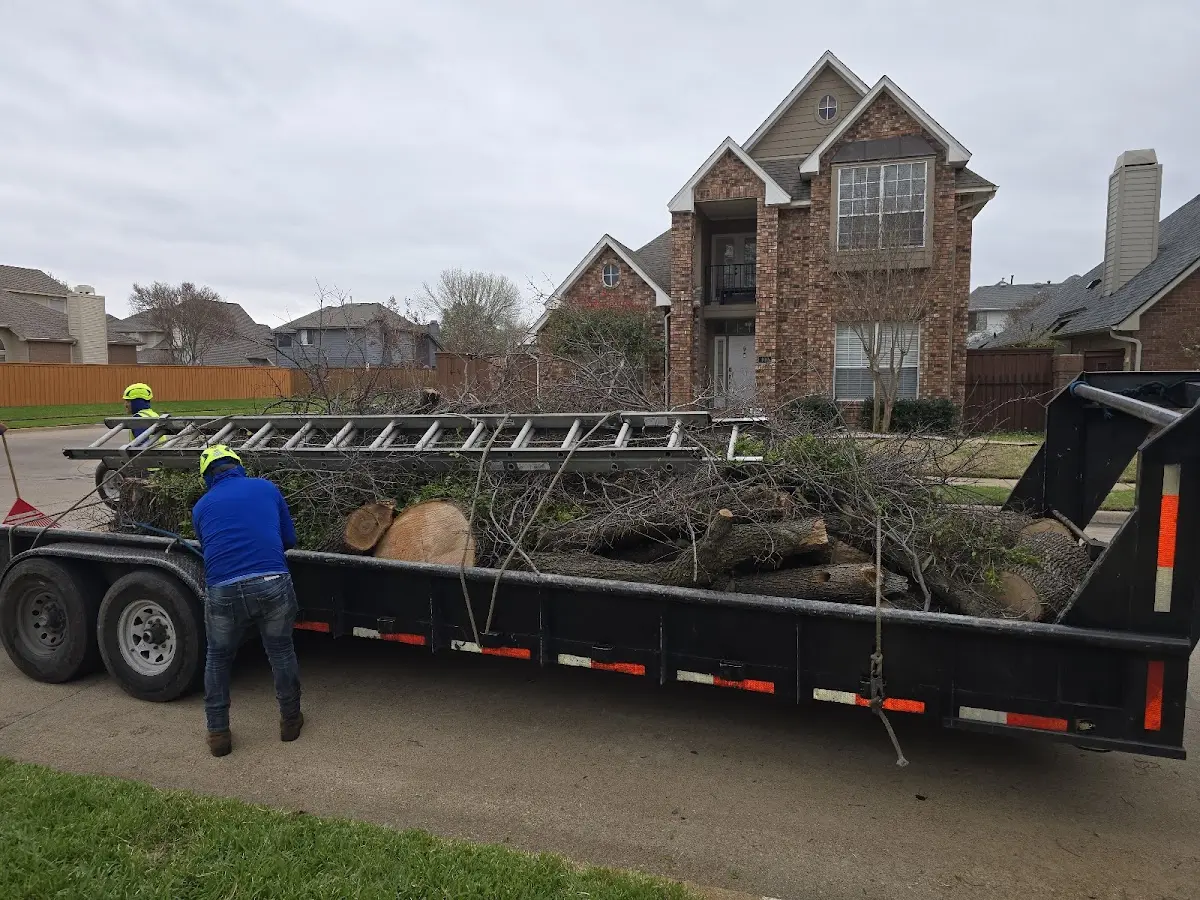 Expert Tree Fertilization with proper safety equipment in Waskish